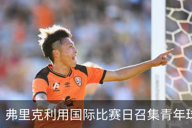 弗里克利用国际比赛日召集青年球员参与训练